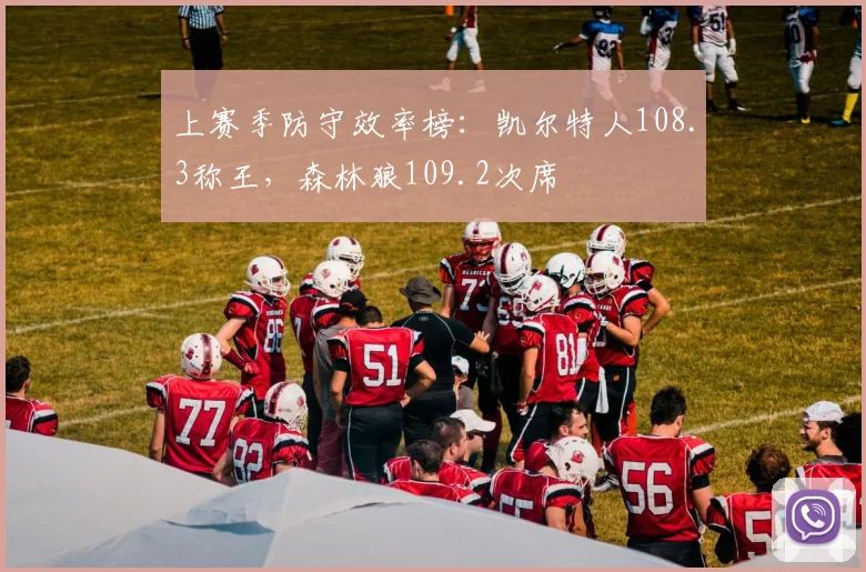 上赛季防守效率榜:凯尔特人108.3称王,森林狼109.2次席