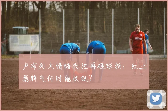 卢布列夫情绪失控再砸球拍，红土暴脾气何时能收敛？